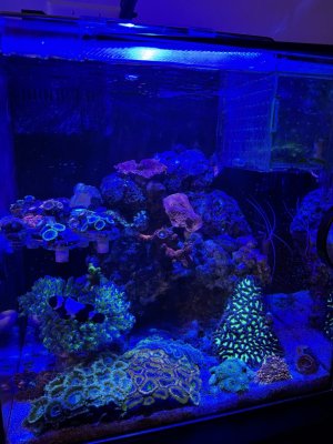 IMG_9114.jpeg