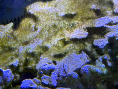 IMG_1105.jpeg