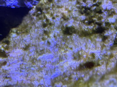 IMG_1107.jpeg