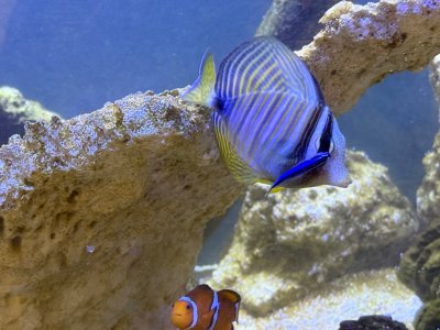 IMG_0970.jpeg