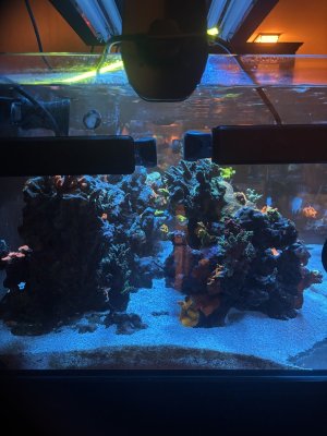 IMG_2973.jpeg