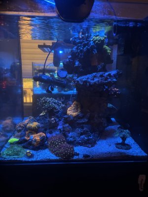 IMG_2975.jpeg