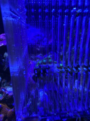 IMG_9236.jpeg