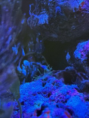 IMG_9306.jpeg