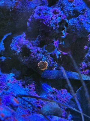 IMG_9310.jpeg