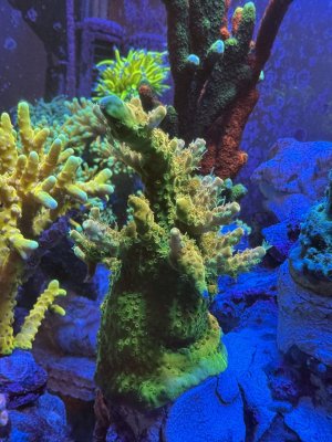 IMG_0540.jpeg