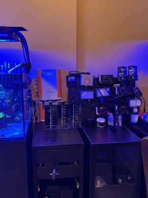 IMG_3146.jpeg