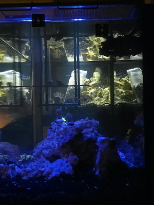 20250615_225839.jpg