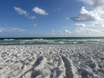 IMG_2676.jpeg
