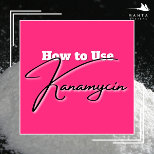 Kanamycin.png