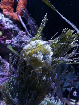 IMG_9750.jpeg