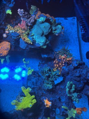 IMG_3389.jpeg