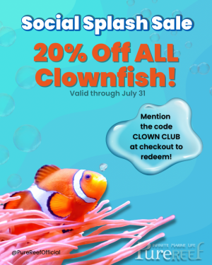 Social Splash Sale-July’25 - 1.png