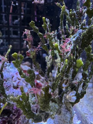 IMG_9962.jpeg