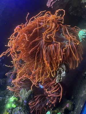 IMG_8302.jpeg