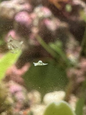 IMG_0117.jpeg