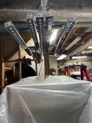IMG_3306.jpeg