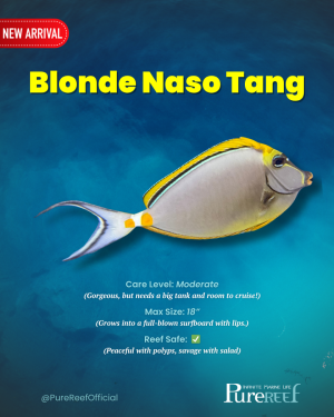 Copy of PR Fish Profile Template.zip - 4.png