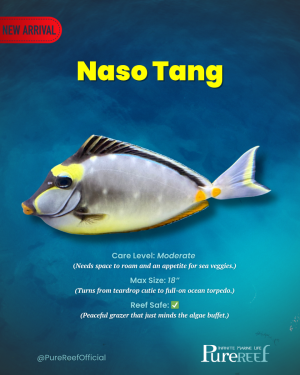 Copy of PR Fish Profile Template.zip - 2.png