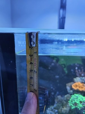 1000004101.jpg