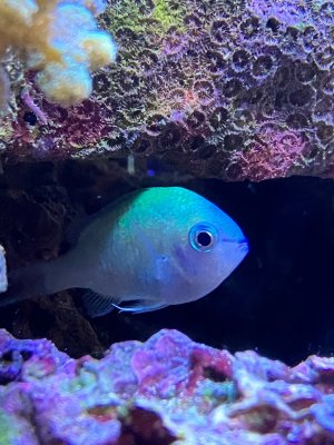 IMG_8283.jpeg