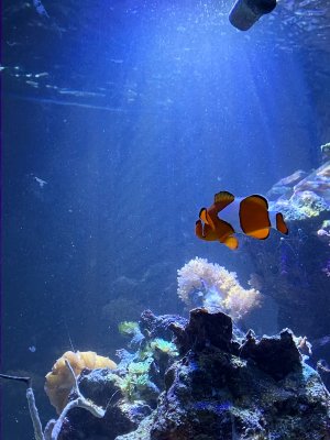 IMG_5523.jpeg