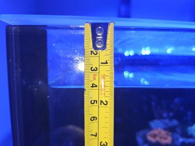 1000004135.jpg