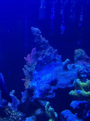 IMG_3627.jpeg