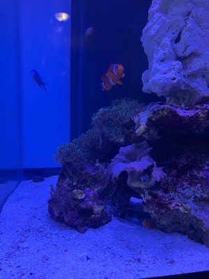 IMG_0135.jpeg