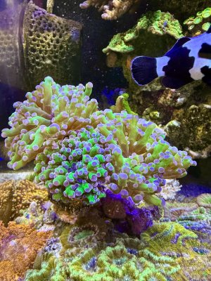 IMG_0368.jpeg