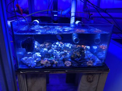 IMG_6420.jpeg