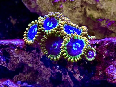 IMG_9813.jpeg