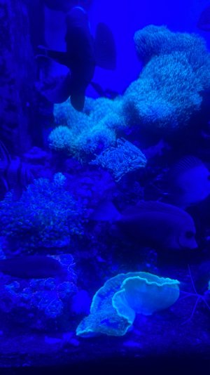 IMG_8853.jpeg