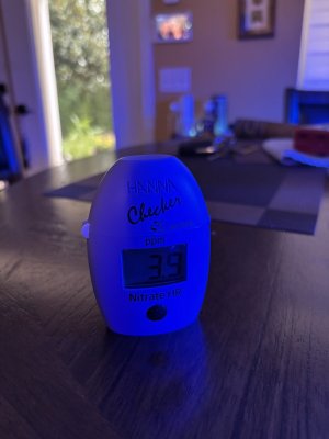 IMG_3820.jpeg