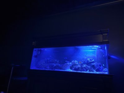 IMG_4285.jpeg
