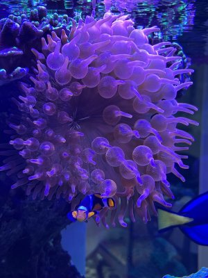 IMG_6622.jpeg
