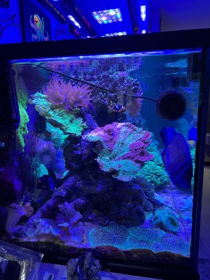 IMG_6657.jpeg