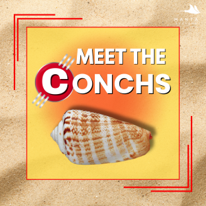 Conch.png