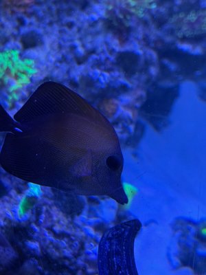 IMG_3452.jpeg