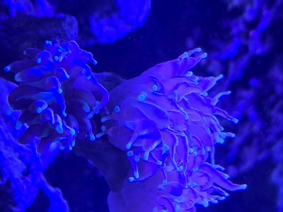 20250815_201321.jpg