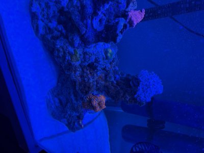 IMG_3472.jpeg