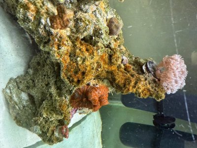 IMG_3481.jpeg