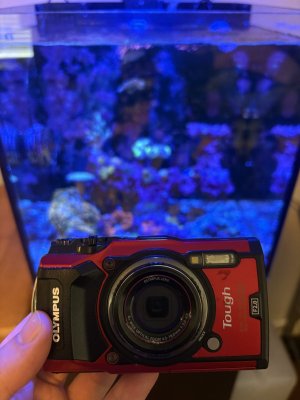 IMG_4084.jpeg