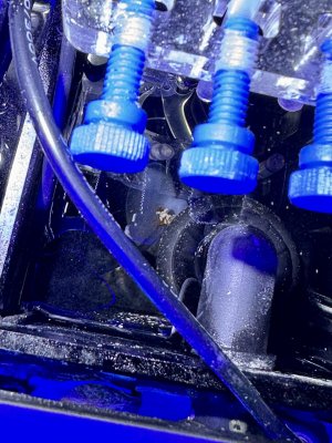IMG_0692.jpeg