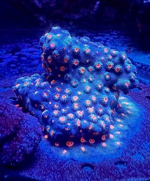 IMG_8713.jpeg