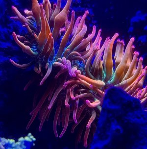 IMG_8886.jpeg
