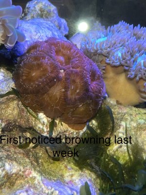 IMG_5127.jpeg