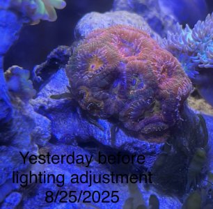 IMG_5222.jpeg IMG_5222.jpeg