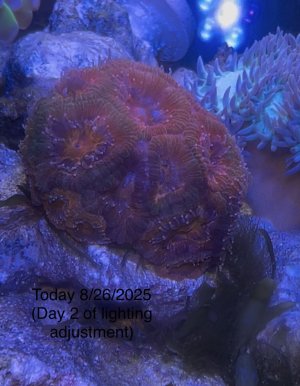 IMG_5250.jpeg IMG_5250.jpeg