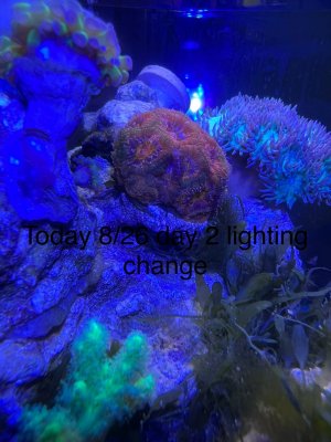 IMG_5245.jpeg IMG_5245.jpeg